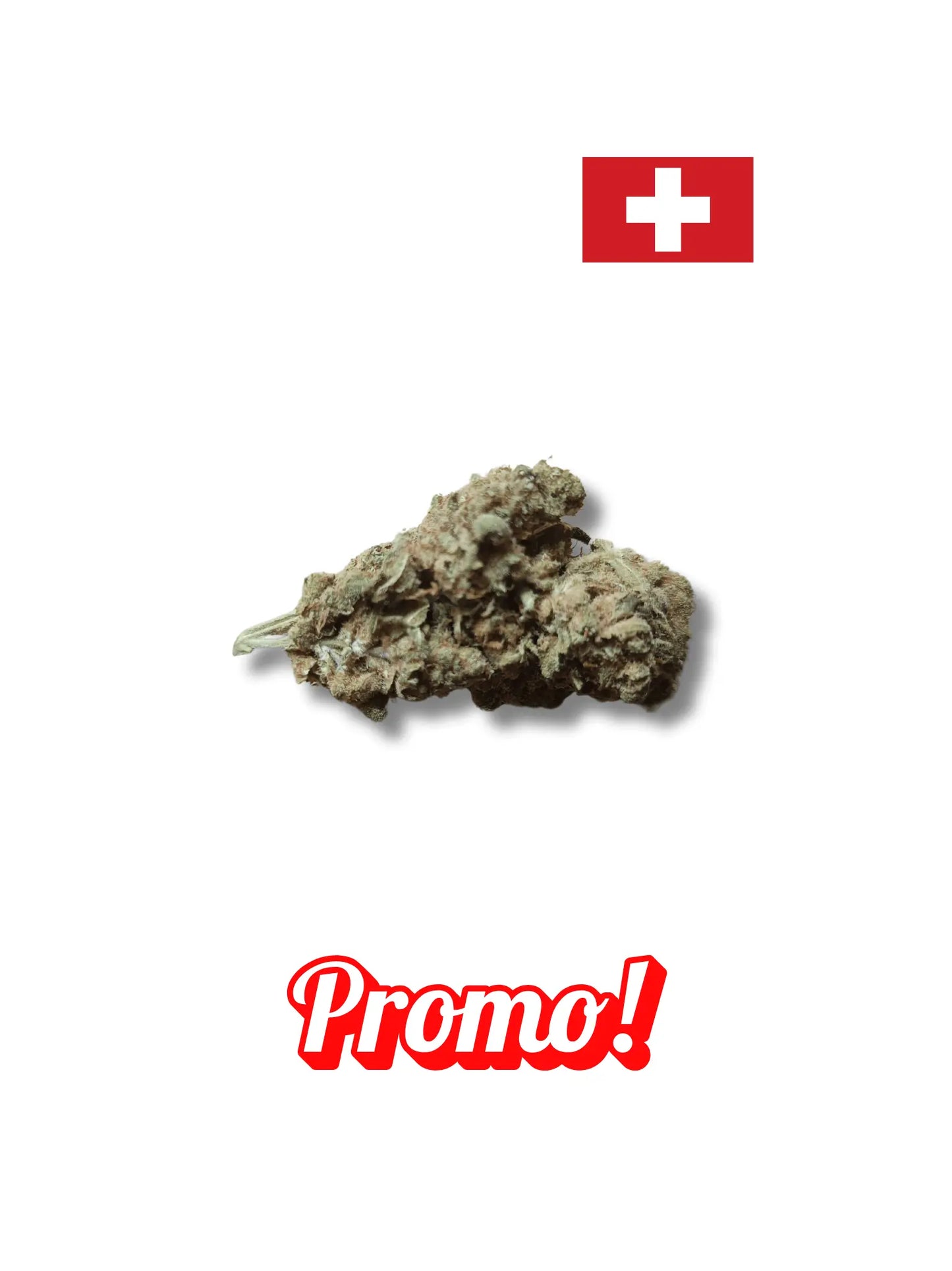 Amnesia 2.0 Indoor Hydroponie Avenue du H