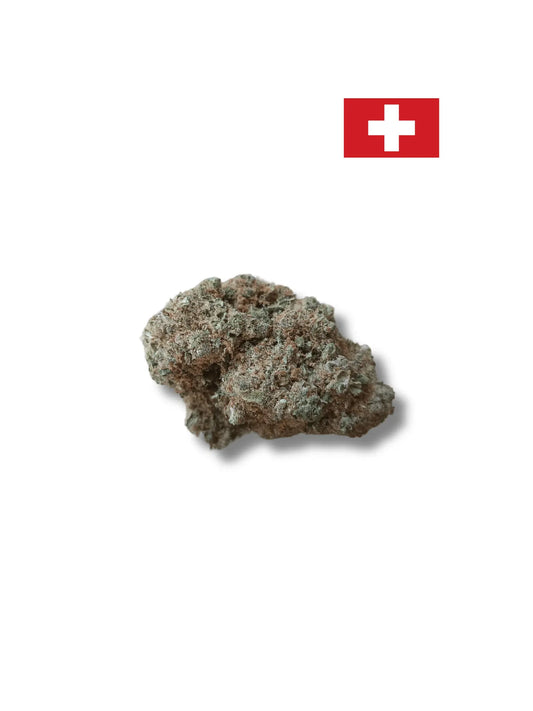 Blue Cheese Indoor hydroponie Avenue du H