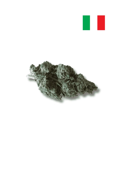 Gaz berry Fleurs de CBD Green-House Avenue du H