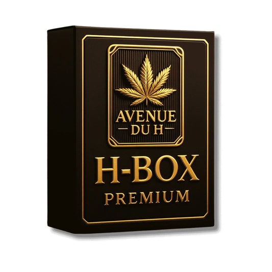 H-BOX Premium Avenue du H