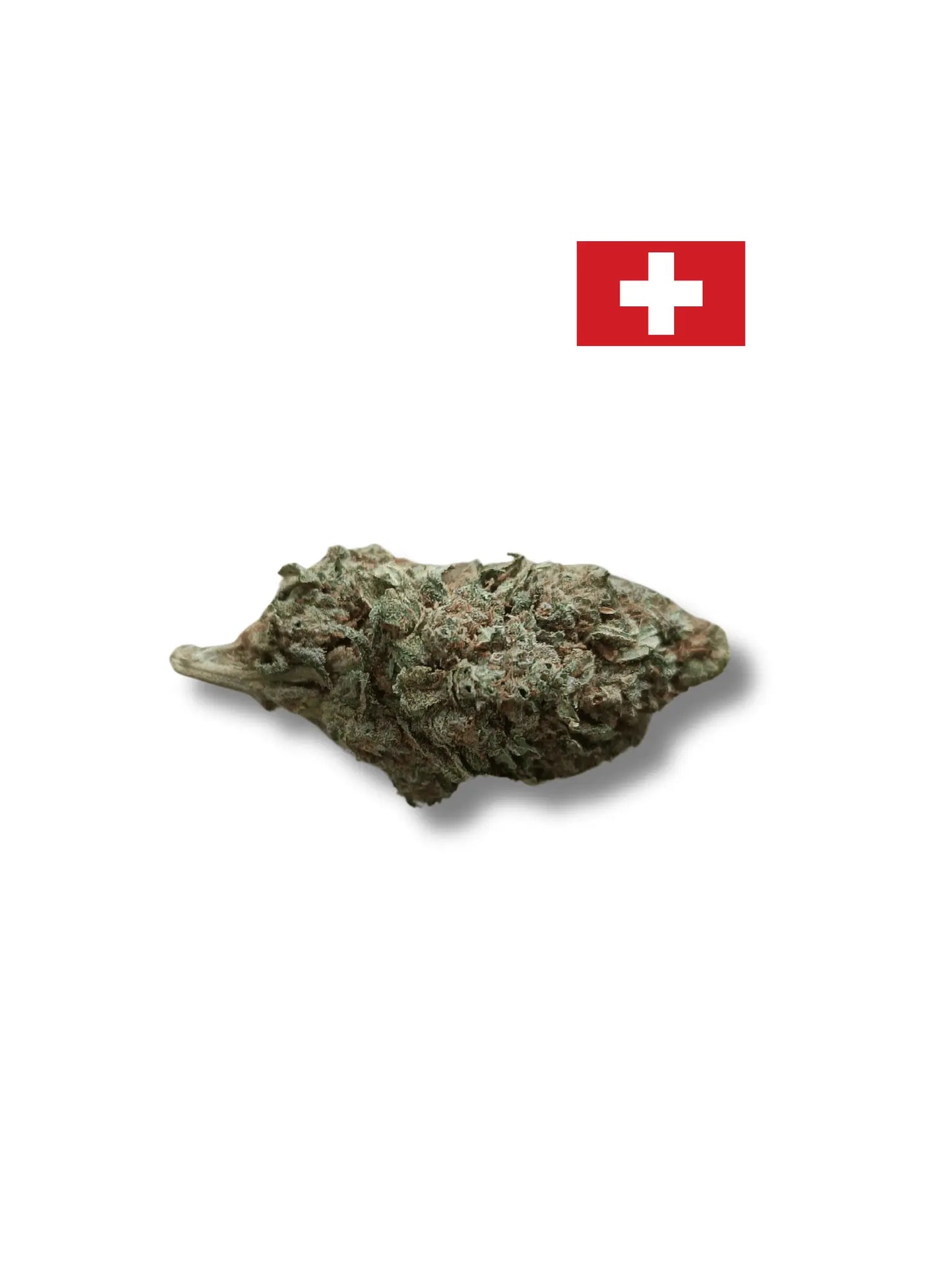 Jungle Cake CBD - fleur indoor hydroponie