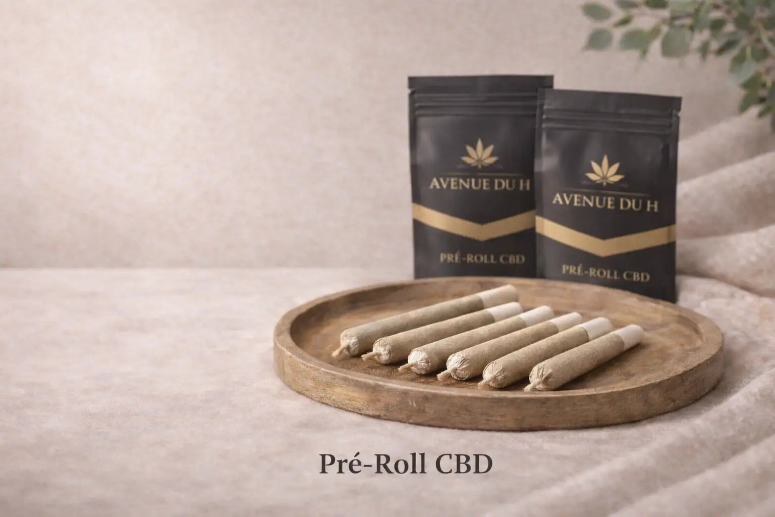 pré-roll - Avenue Du H Image