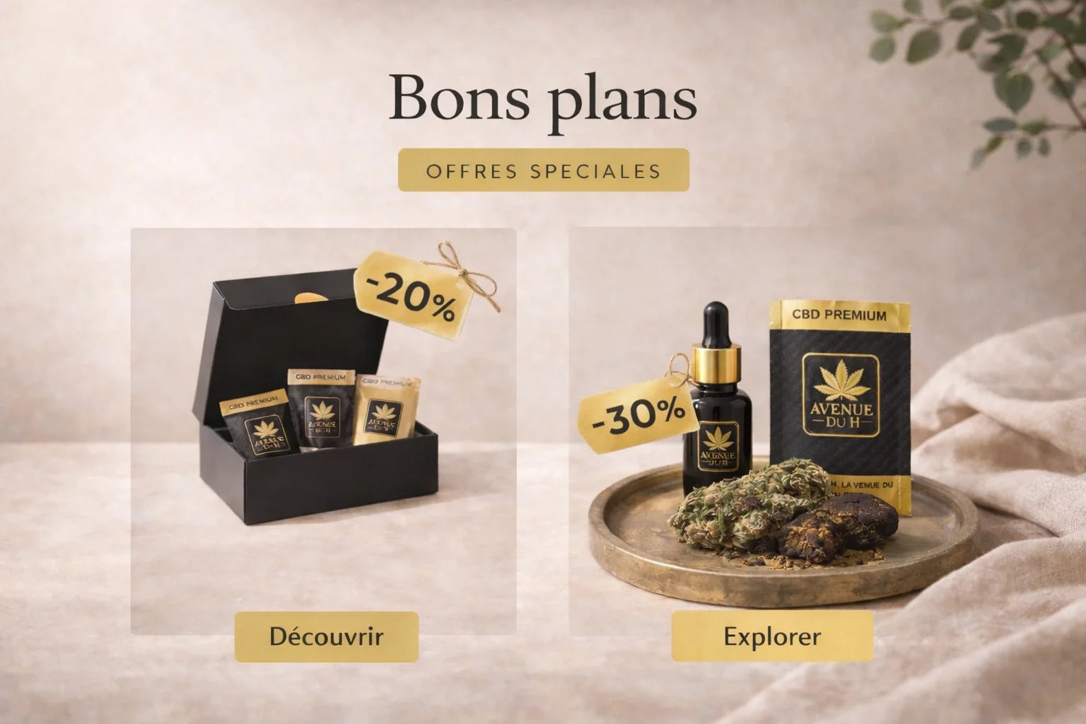 Bon plan CBD  Image