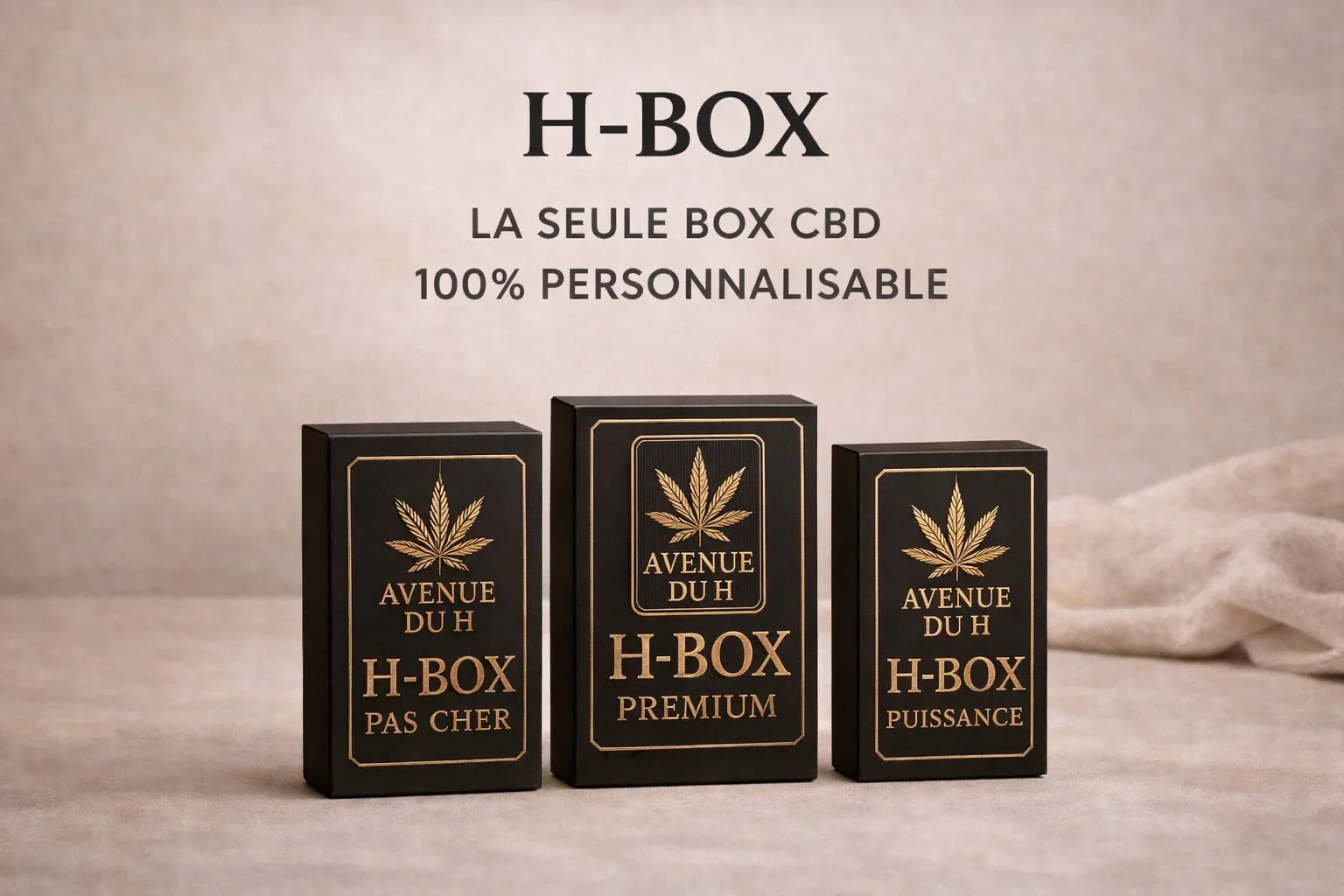 H-Box Avenue du H Image