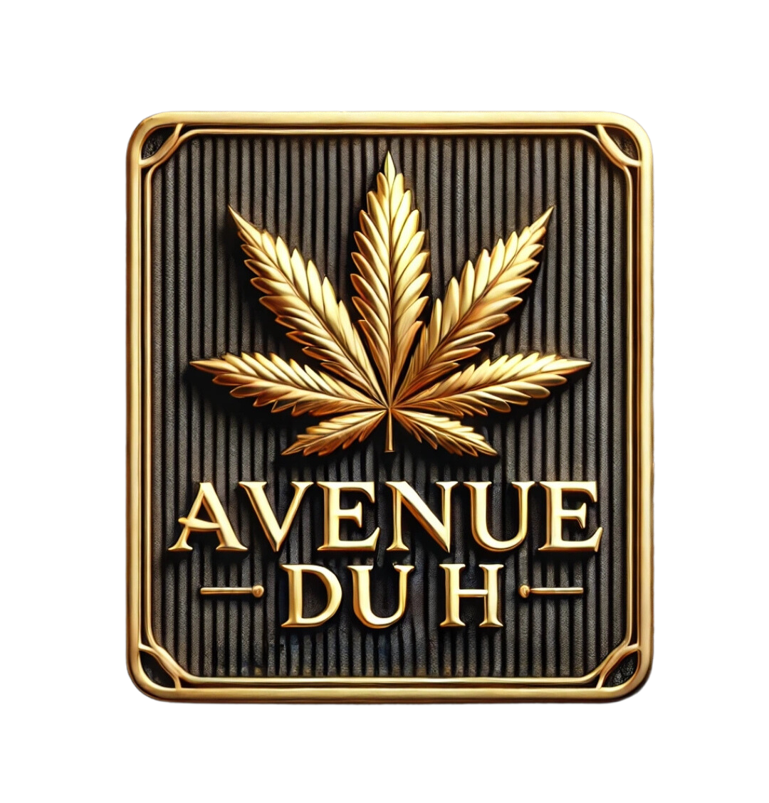 Avenue du H