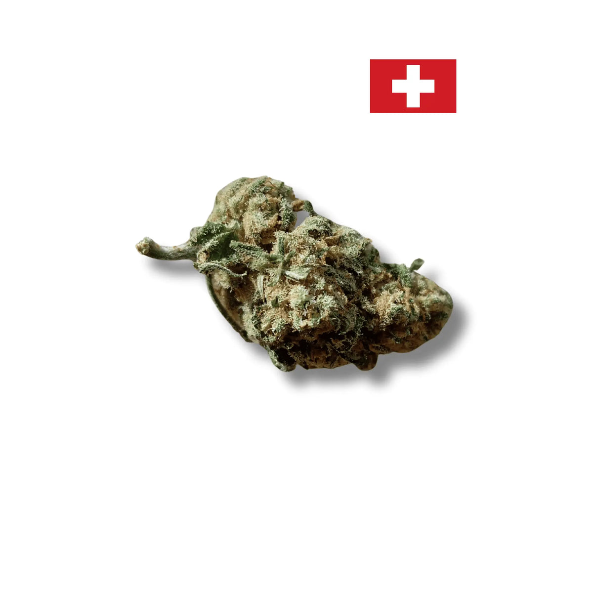 Amnesia 2.0 CBD Indoor Hydroponie Avenue du H