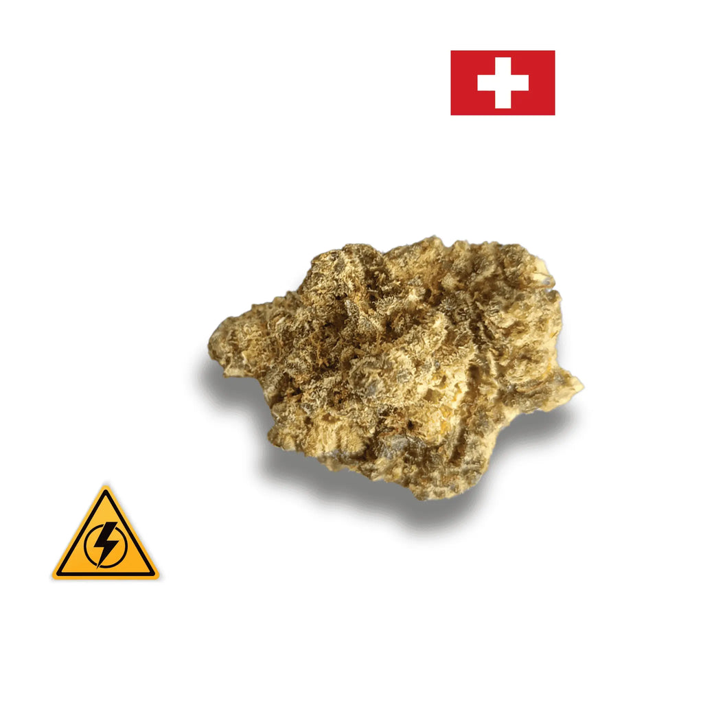 Amnésia 3.0 Revuelto 40% Avenue du H