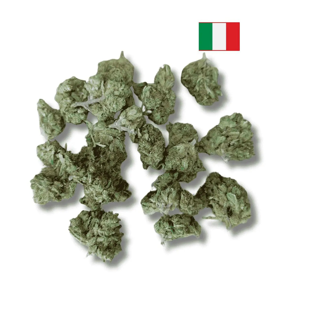 Amnésia Haze Glass-houss - Fleurs de CBD 10% Avenue du H