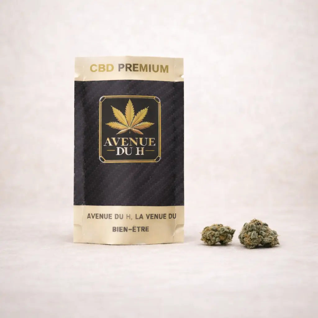 Amnesia 2.0 CBD Indoor Hydroponie Avenue du H