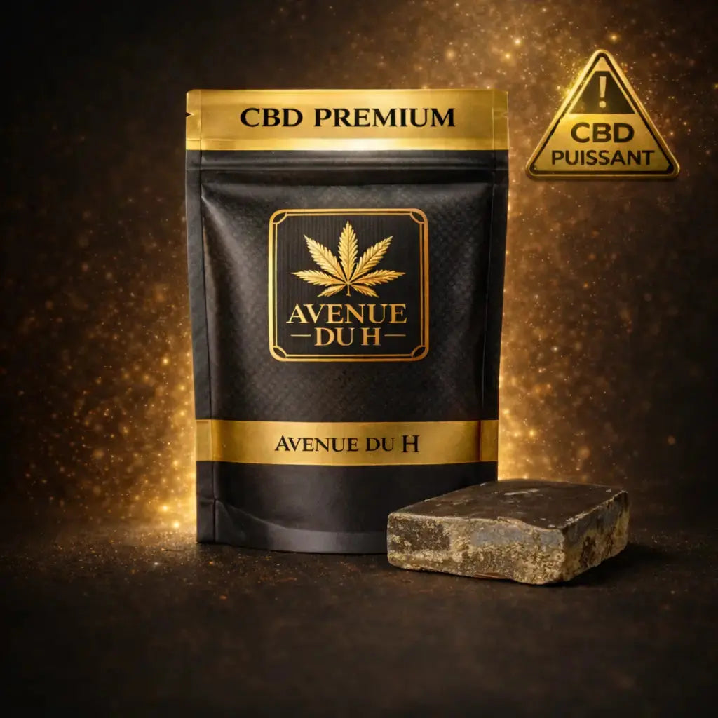 Bubble H Revuelto Avenue du H