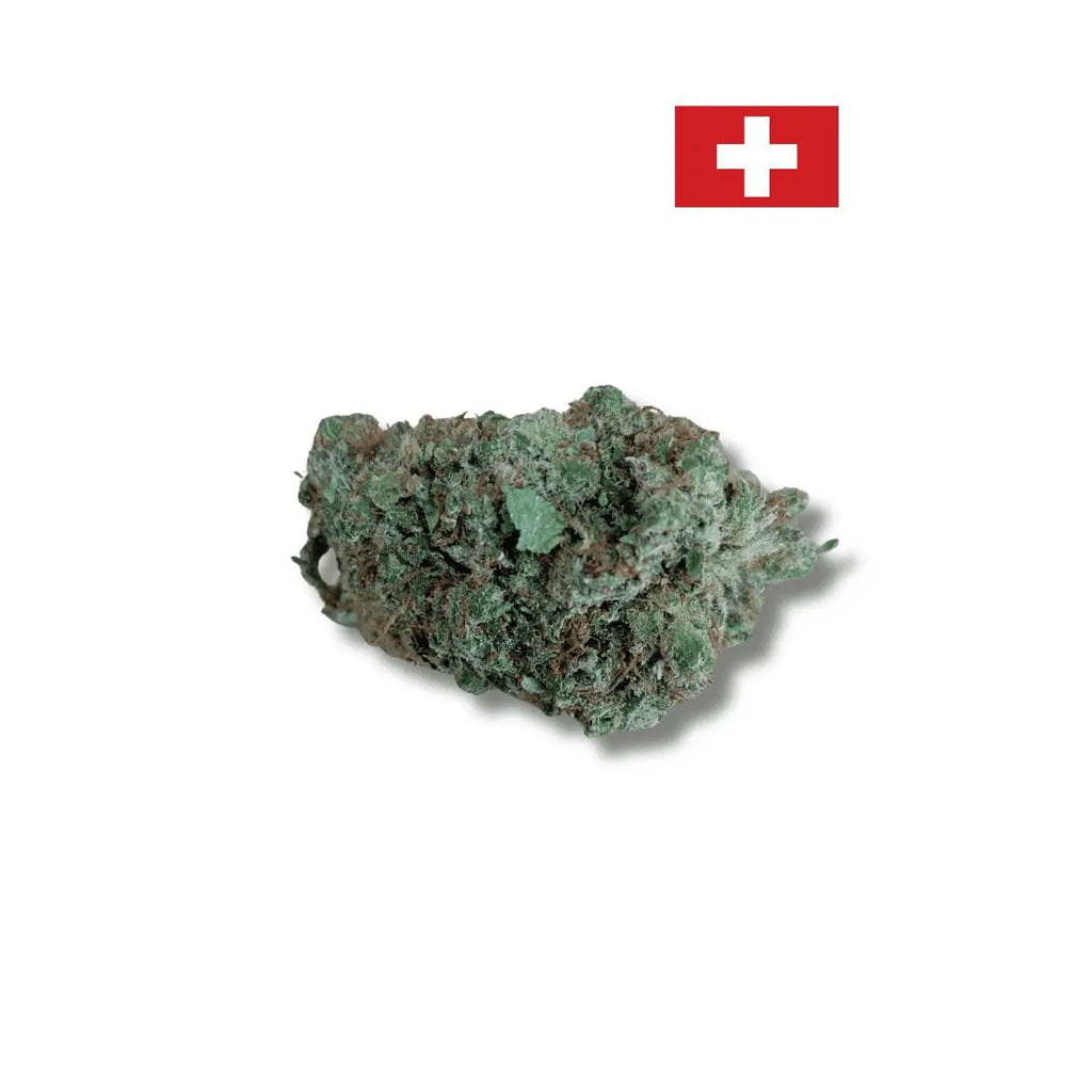 Charlotte Angel - Fleurs de CBD Hydroponie 15% Avenue du H