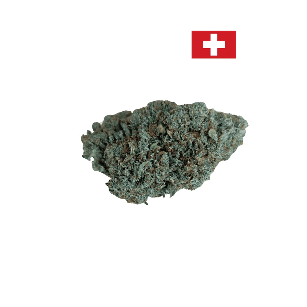 Critical 2.0 Fleurs de CBD Hydroponie 15% Avenue du H