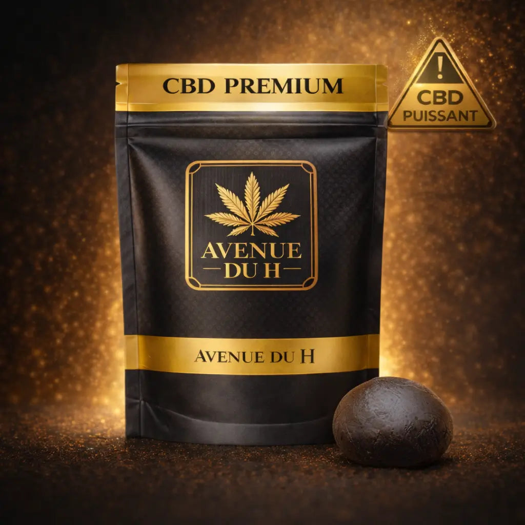 Static X CBD Avenue du H