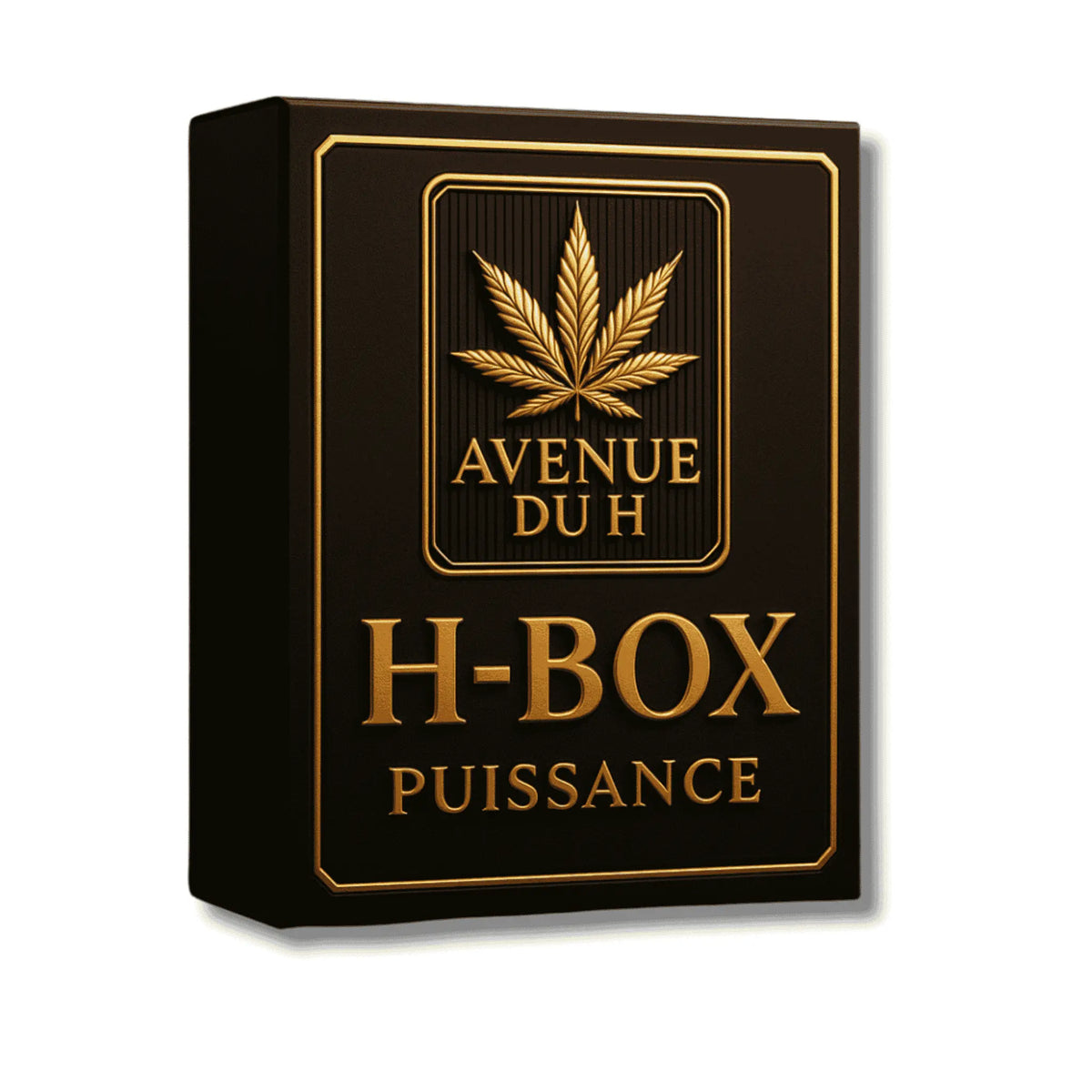 H-BOX Revuelto Avenue du H