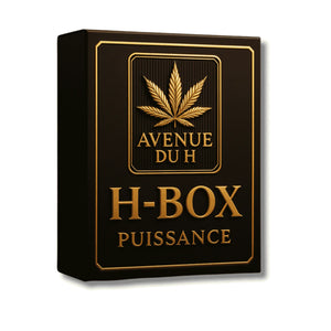 H-BOX Revuelto Avenue du H