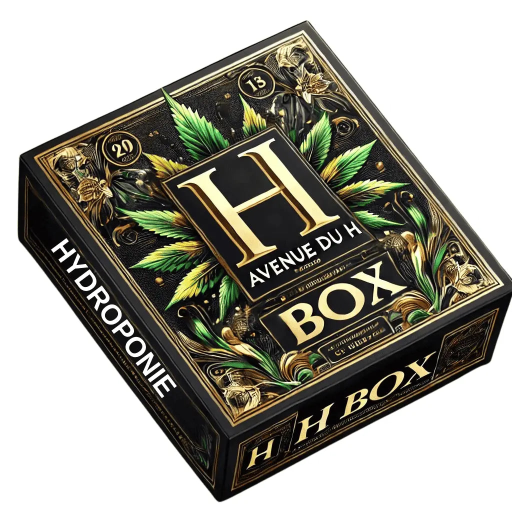 H Box Hydroponie Avenue du H