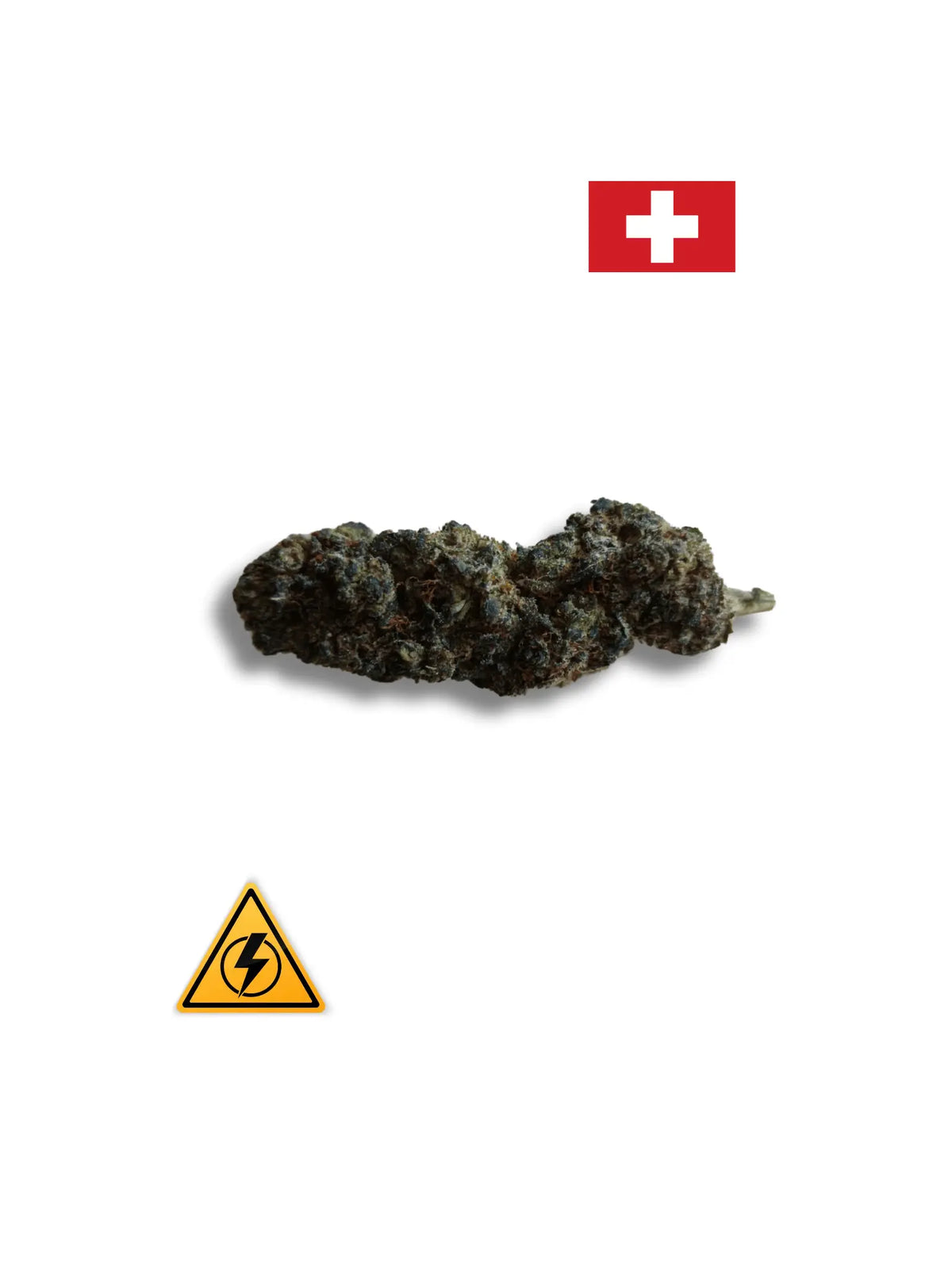 Monster Cookie – Indoor hydroponie – Revuelto 30% Avenue du H