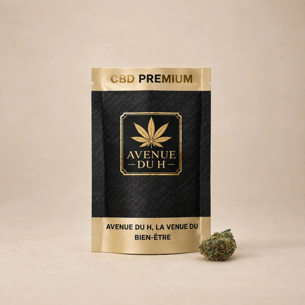 Plutonium CBD Avenue du H
