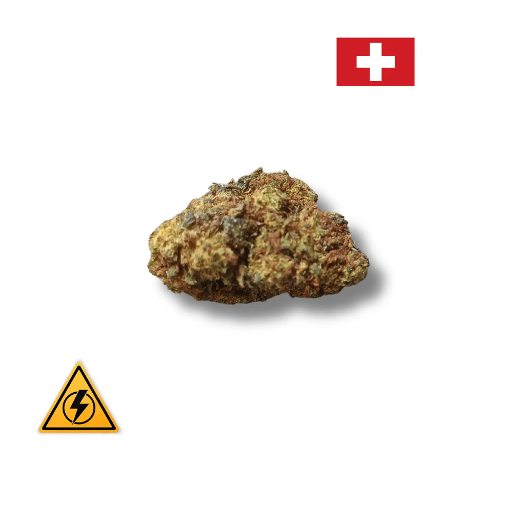 Strawberry Revuelto Glass-house 30% Avenue Du H