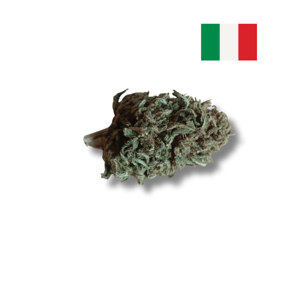 Banana Smash CBD - Avenue Du H 