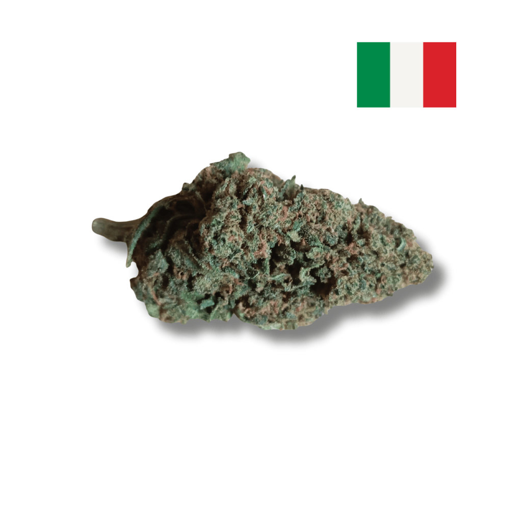 Sherbet Cherry Fleur CBD